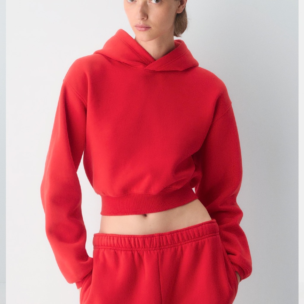Aritzia TNA Cropped Hoodie - Red